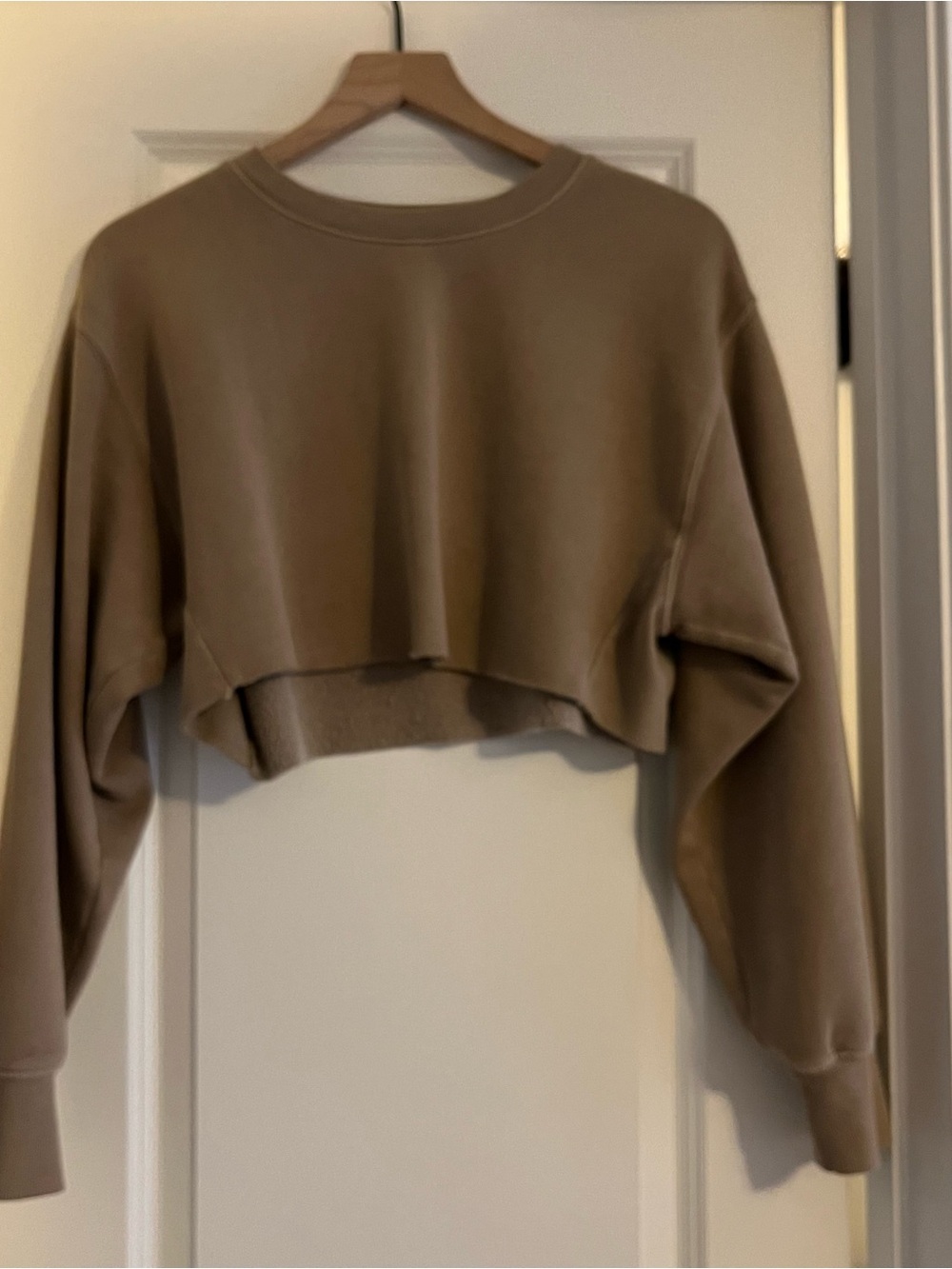 TNA Cropped Crew Sweatshirt in Taupe Brown